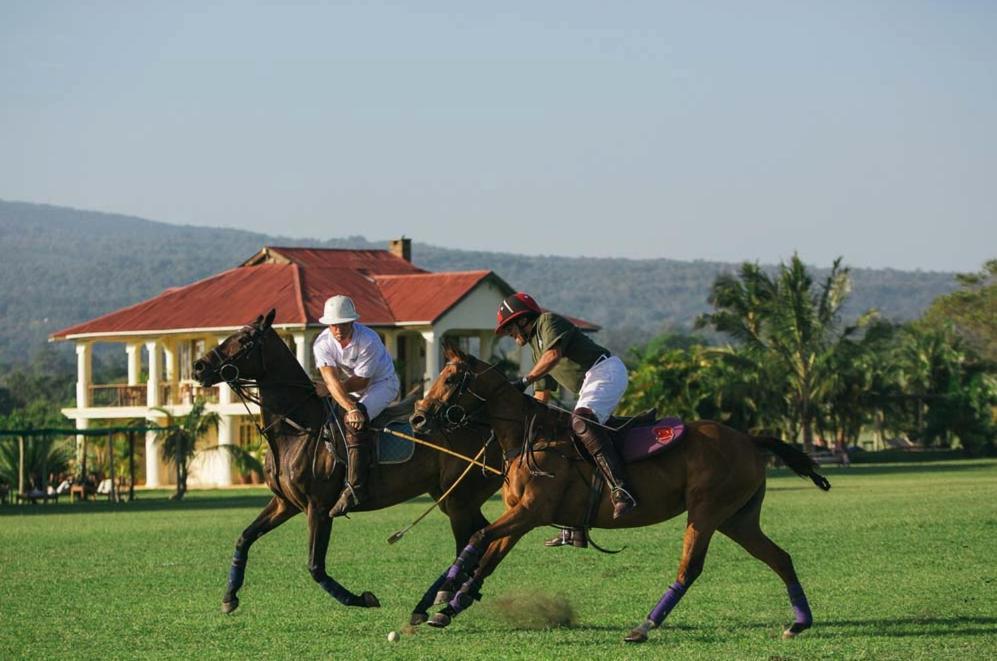 Wildlife Residence Tuvaila Εξωτερικό φωτογραφία